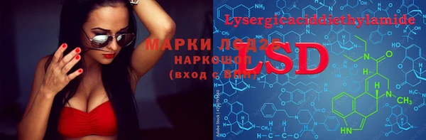 прущие грибы Козловка