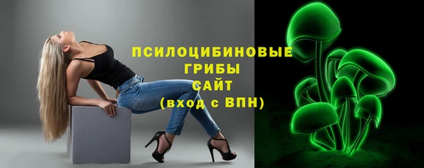 дурь Киреевск