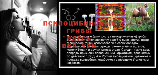 эйфоретик Кодинск