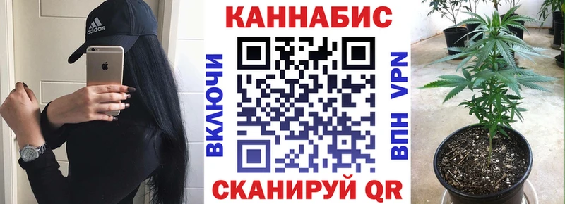 продажа наркотиков  Кизляр  Шишки марихуана план 